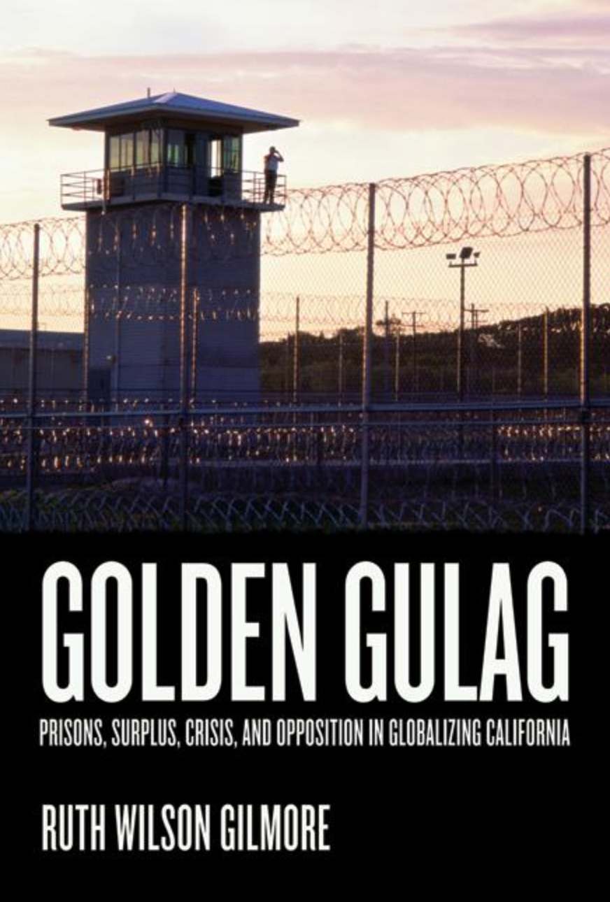Golden Gulag: Prisons, Surplus, Crisis, and Opposition in Globalizing California / Ruth Wilson Gilmore