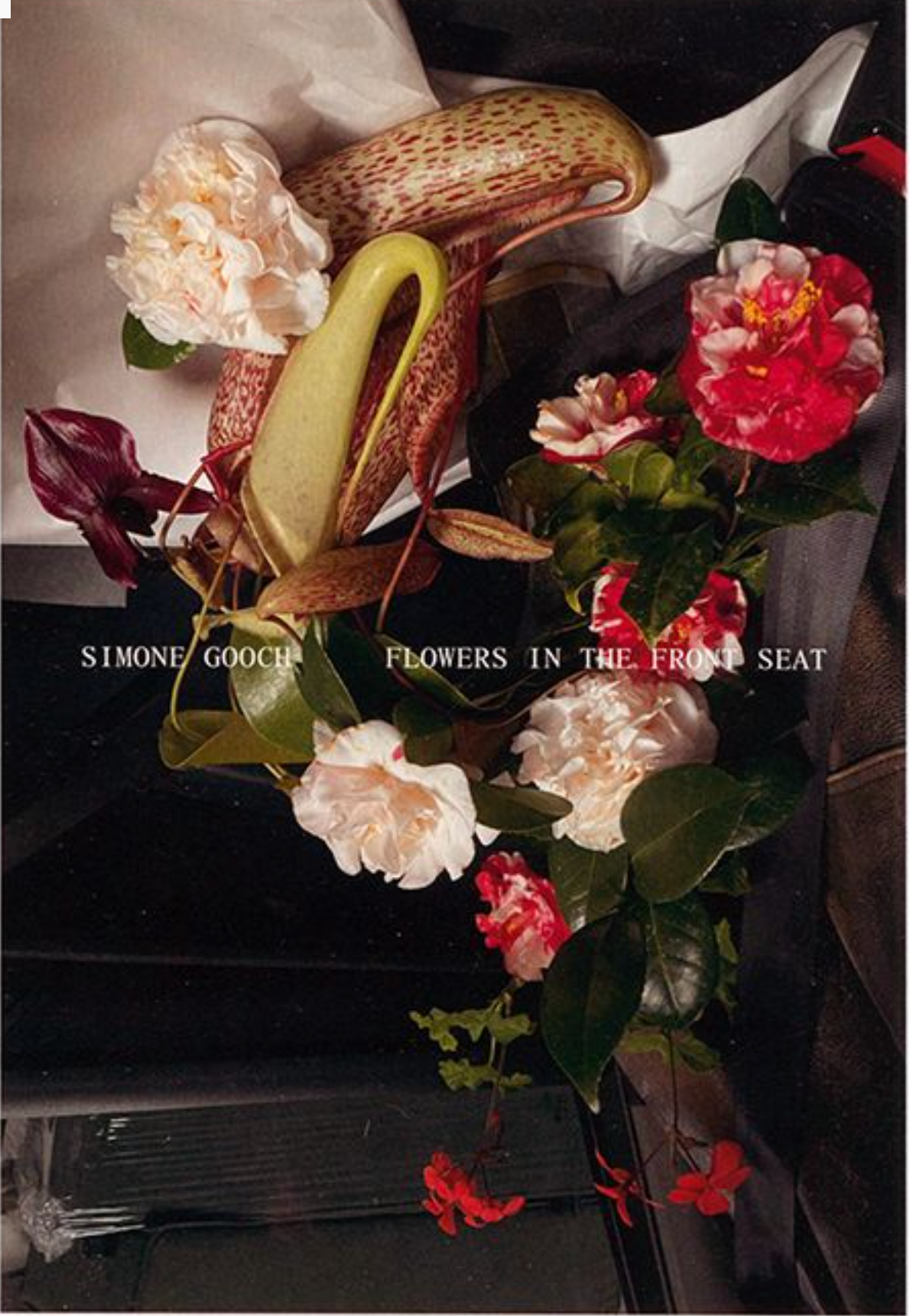 Simone Gooch – Flowers in the Front Seat