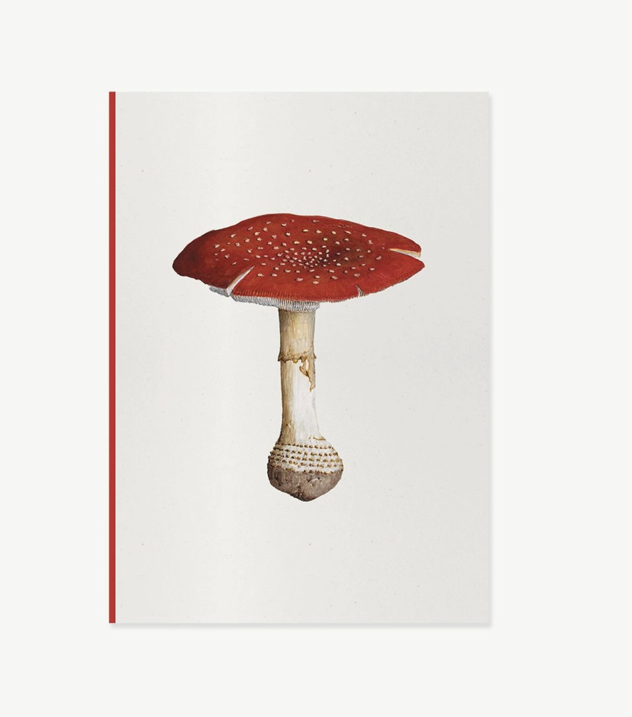 Fungi Journal Collection: Amanita Muscaria