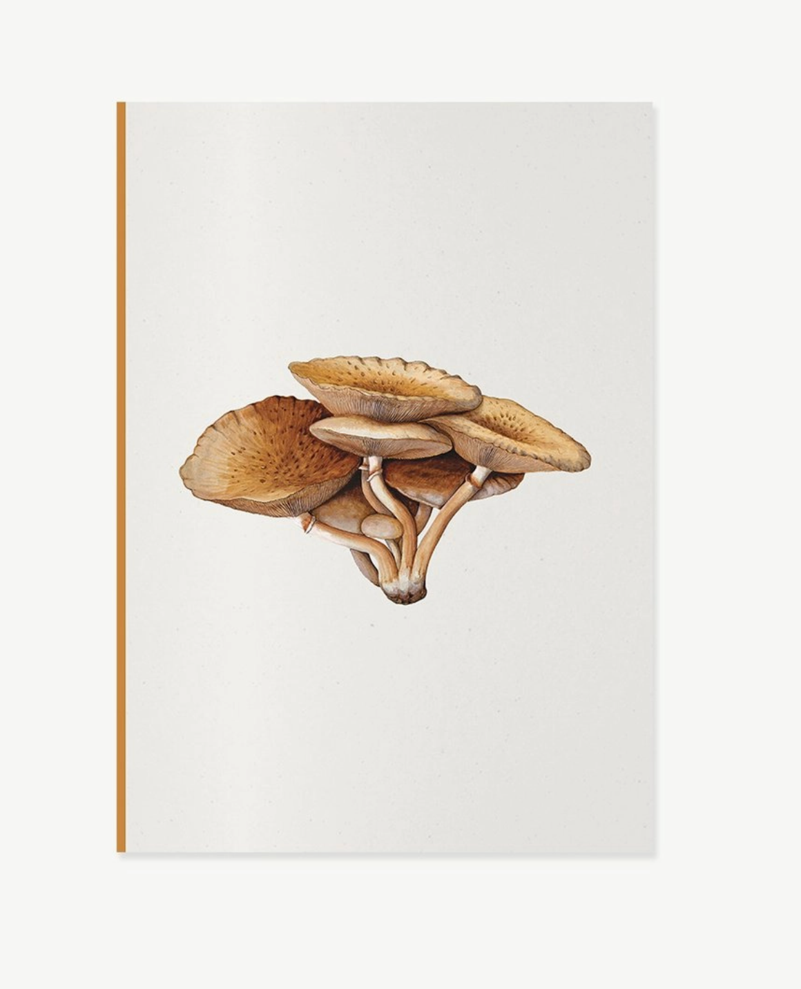 Fungi Journal Collection: Inocybe Pudica