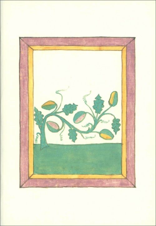 Notebook Book of Herbs