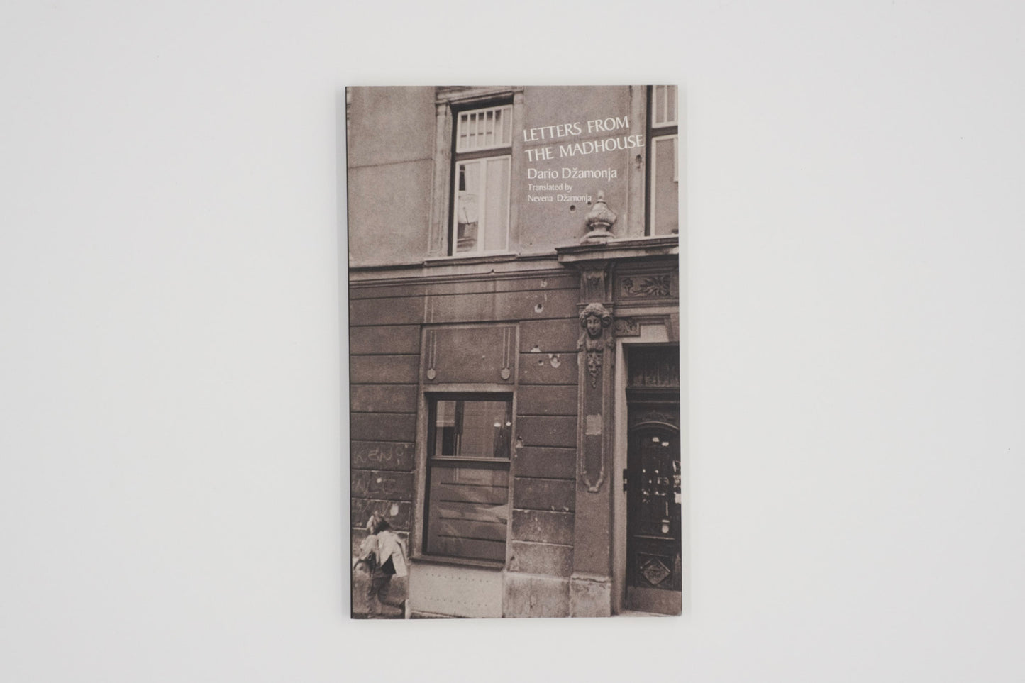 Letters from the Madhouse / Dario Dzamonja (Author), Nevena Dzamonja (Translator)