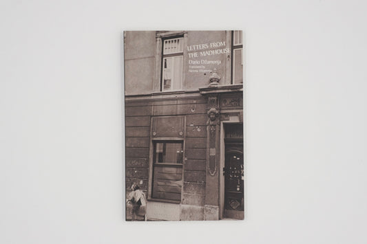 Letters from the Madhouse / Dario Dzamonja (Author), Nevena Dzamonja (Translator)