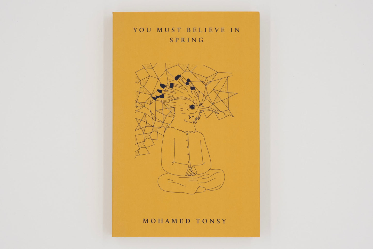 You Must Believe in Spring / Mohamed Tonsy