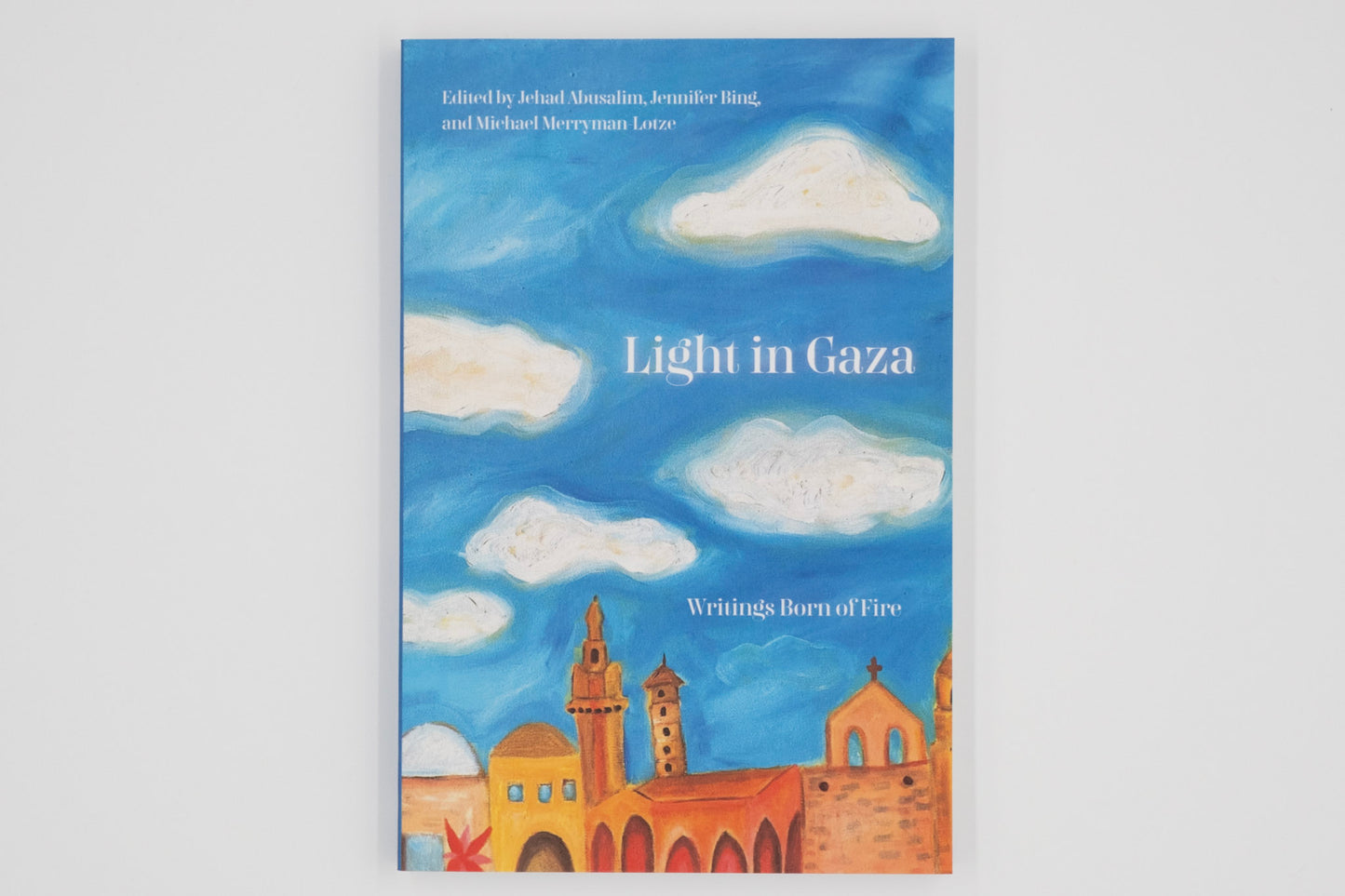 Light in Gaza: Writings Born of Fire / Jehad Abusalim (Editor), Jennifer Bing (Editor), Mike Merryman-Lotze (Editor)