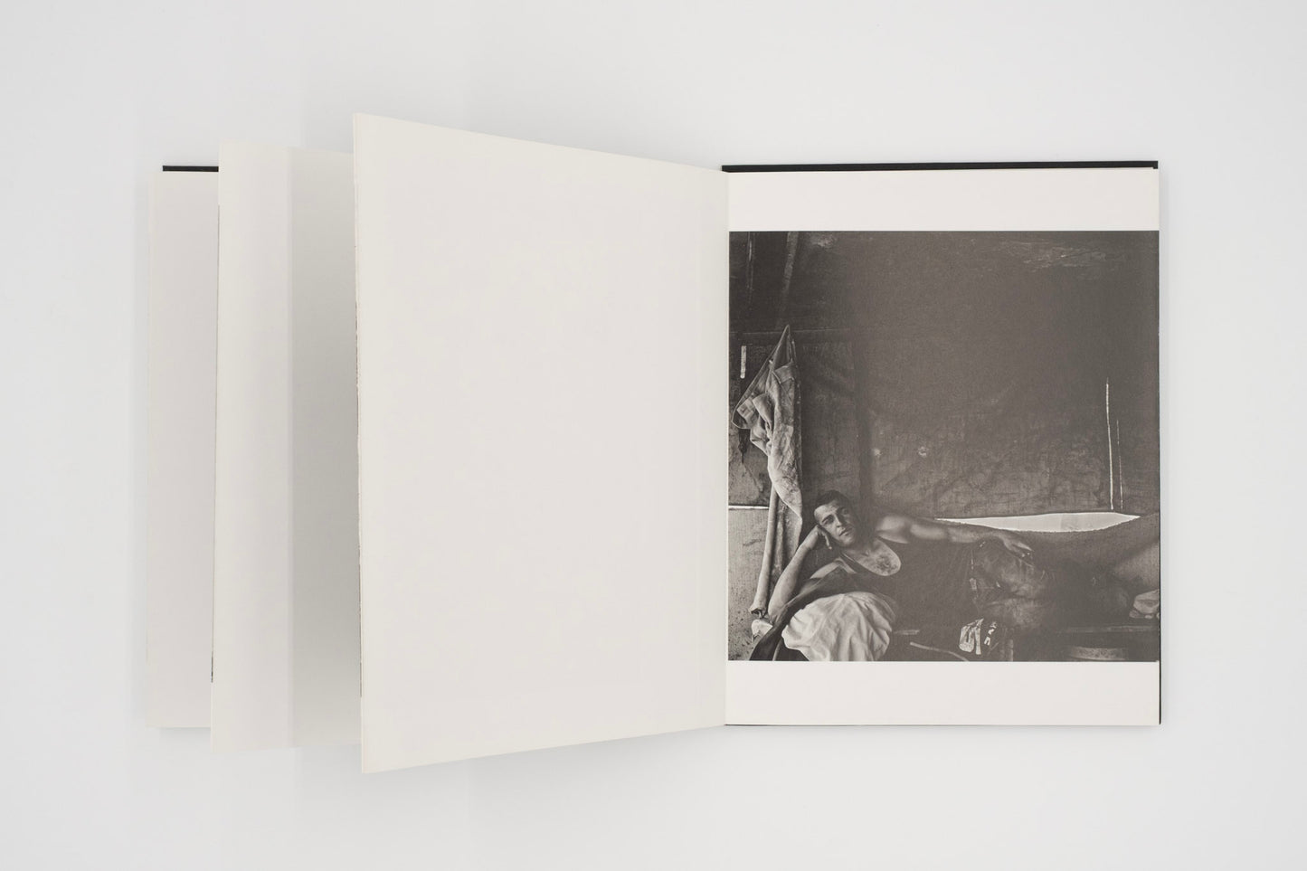 Keep Your Eye on the Wall: Palestinian Landscapes / Olivia Snaije (Editor), Mitchell Albert (Editor)