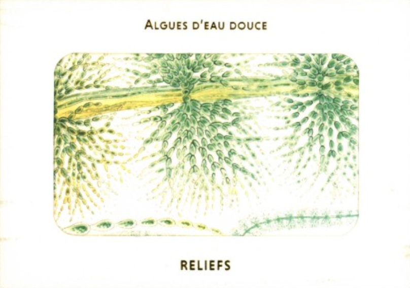 British Fresh-Water Algae (1882-1884): Postcards