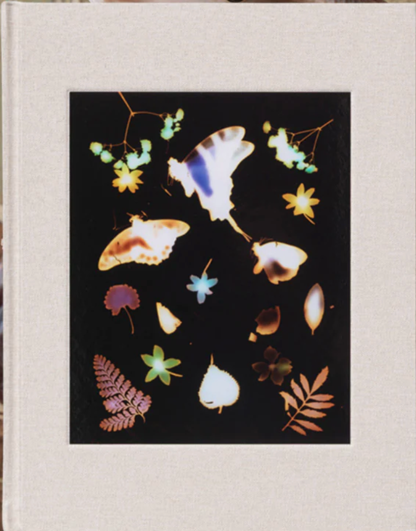 The Marble / David Brandon Geeting