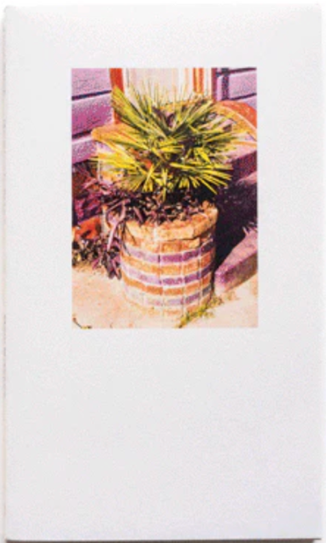 Walking In Place 1: New Orleans / Mike Slack