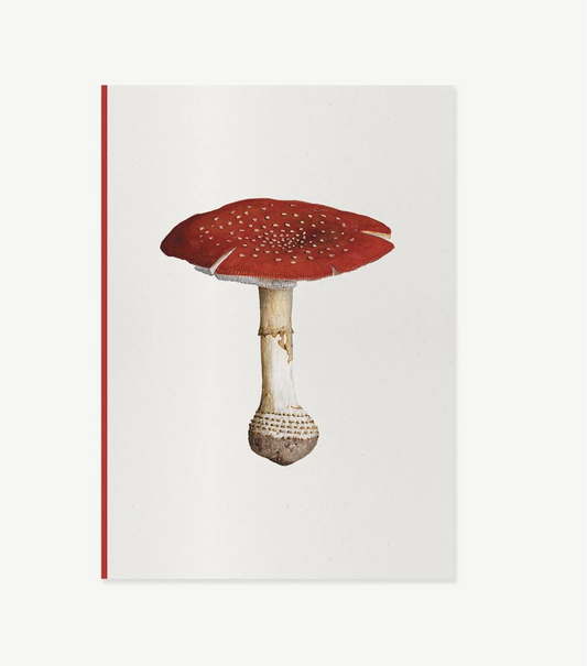 Fungi Journal Collection: Amanita Muscaria